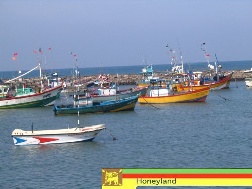 Hafen in Hikkaduwa