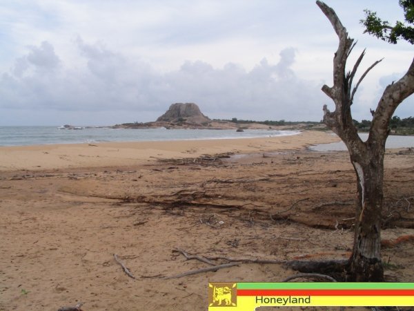 Strand im Yala Nationalpark