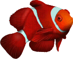 Fisch